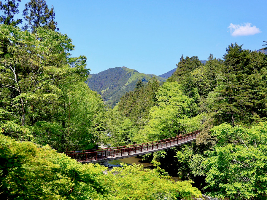 高尾山薬王院
